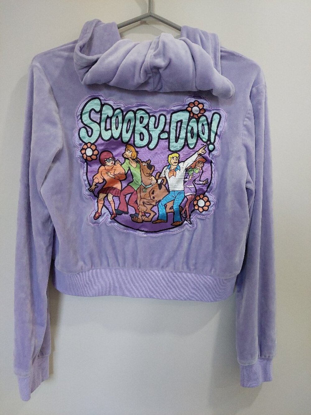 Scooby-Doo Women's S Velour Cropped Zip-up hoody the Mystery Inc. Gang Y2K